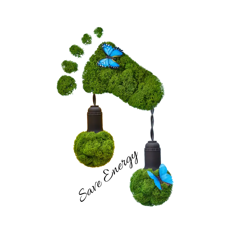 sustainability-image-3